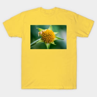 Mexican-Sunflower Photograph T-Shirt